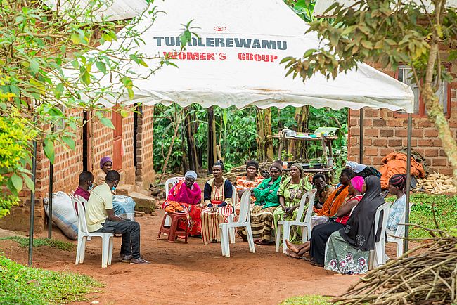 Seedloans