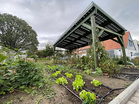 Erstbepflanzung im neuen Schulgarten