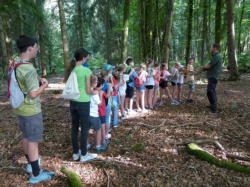 Reihe der Teilnehmenden im Wald