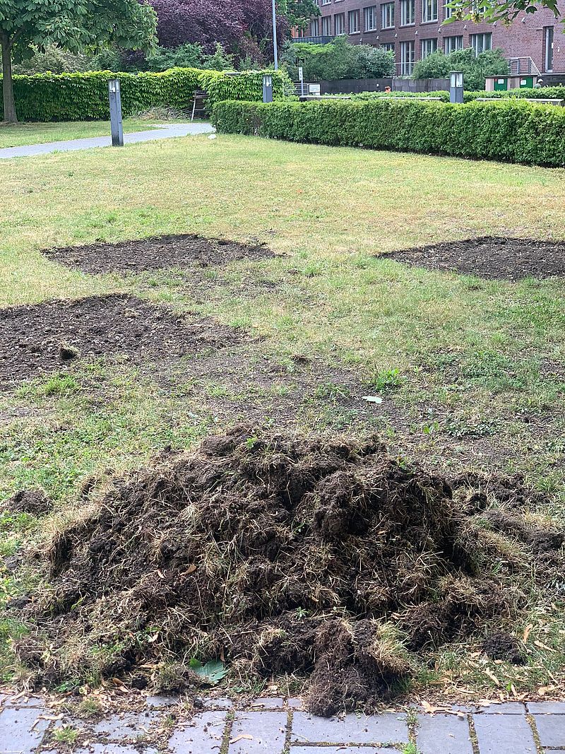 Bau des Hochbeets