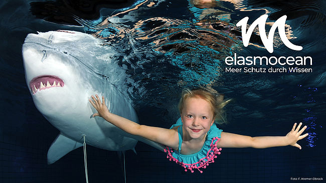 ElasmOcean e. V.