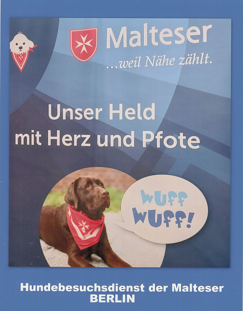 "Besuch auf vier Pfoten"